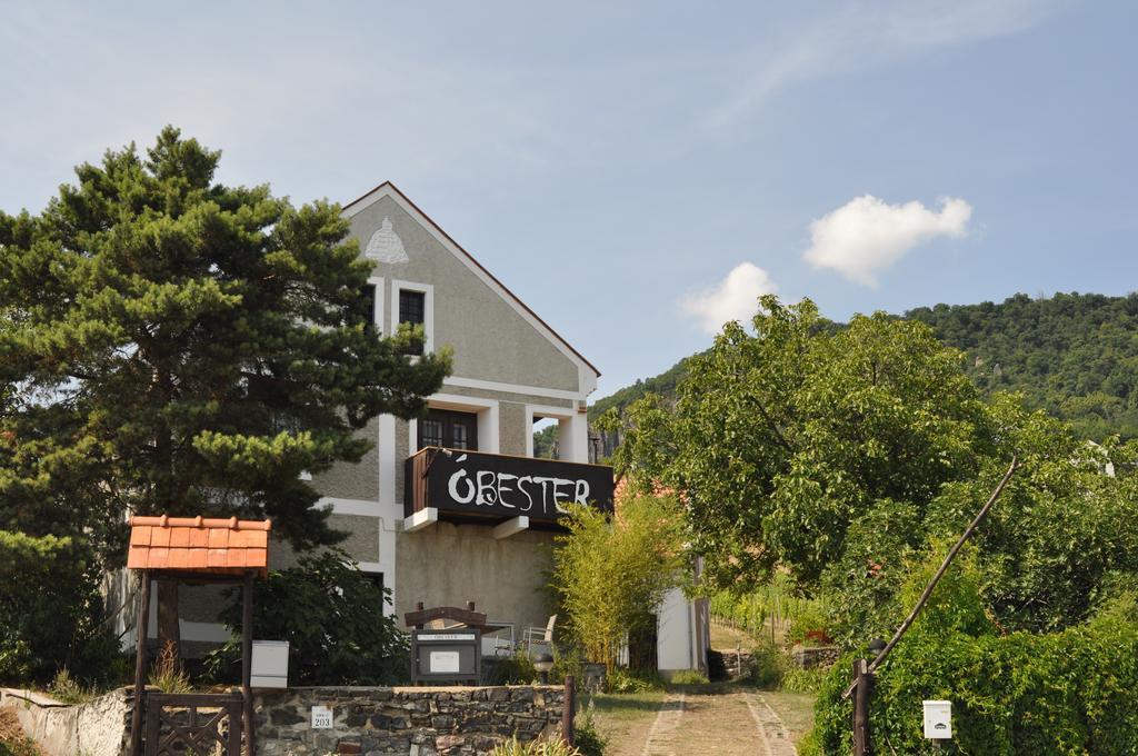 Obester Panzio Badacsonytomaj Zewnętrze zdjęcie